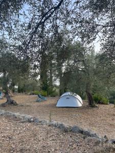 a white tent sitting on the ground under trees at Camping Himara in Himare