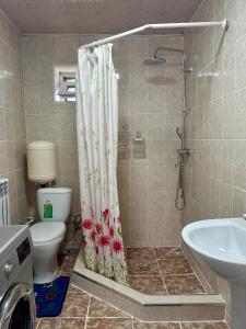 a bathroom with a shower and a toilet and a sink at Ilgiz Guest House in Bokonbayevo +29 photos