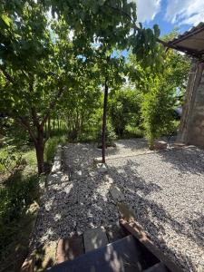 a garden with a tree and a stone walkway at Full moon in Yerevan