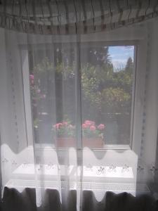 a window with two potted plants on a window sill at Apartmán Sofie in Poděbrady