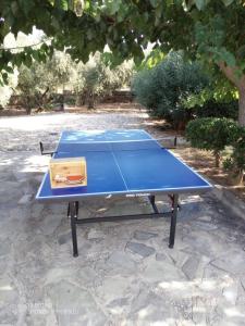 a blue ping pong table with a box on it at Beachfront Family Villa Katerina with Private pool, Playground, BBQ & Amazing Sea Views! in Petres +106 photos