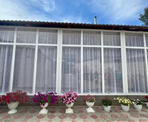 a group of flowers in white vases in front of a window at Ilgiz Guest House in Bokonbayevo