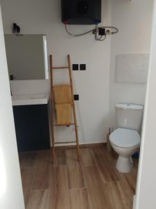 a bathroom with a toilet and a television and a ladder at Trévoux centre appartement climatisé in Trévoux +5 photos