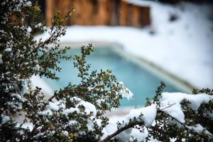 a house with snow on the roof and a tree at Auria Angostura in Villa La Angostura