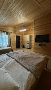 a bedroom with a large bed and a flat screen tv at Kolsay Eco House in Saty