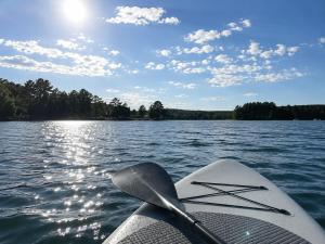 a view from the back of a paddle boat on a lake at Ferienhaus am See mit Sauna in Rheinsberg