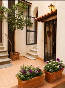 a courtyard with two pots of flowers in front of a building at Apartment in Salerno Centro in Salerno