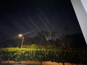 a street light in front of a vineyard at night at Le coin vert in Rabat