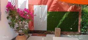 a garden with flowers in vases next to a wall at Le chat bleu in Beauvoir-sur-Mer