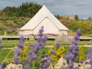 a marquee in a field with purple flowers at ILLU Glamping in Trebujeni