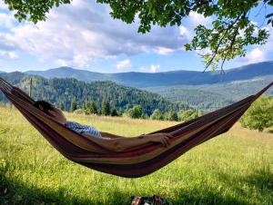 a man laying in a hammock in a field at Domeniul Barabuc Colibita in Colibiţa
