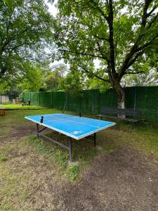 a ping pong table in a park with a tree at Bazaleti Lake Family Apartment in Chanadirtkari +6 photos