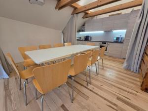 a kitchen and dining room with a table and chairs at Wellness apartmán Habánská in Pouzdřany