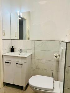 a bathroom with a toilet and a sink and a mirror at Haus Wandertal in Zella-Mehlis +3 photos