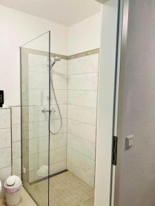 a shower with a glass door in a bathroom at Haus Wandertal in Zella-Mehlis