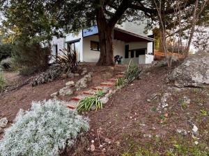 a house on a hill with a tree in front of it at La Morondanga in Villa Yacanto
