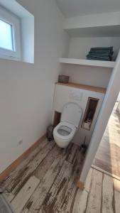 a bathroom with a toilet with a wooden floor at ALBI Logement spacieux in Albi