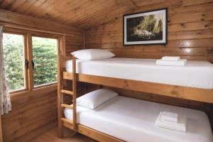 two bunk beds in a cabin with a window at Cabaña Los Leones de Cabárceno in Penagos