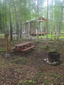 a picnic table and a grill in a forest at Houston Grass Station Campsite #41 in Wasilla +13 photos