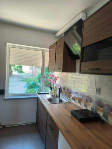 a kitchen with a sink and a window at Apartament przy weneckim mostku in Kowary +2 photos