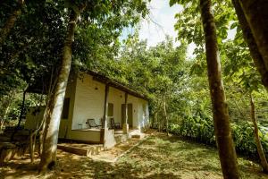 a small house in the middle of a forest at Clove Bentota in Walagedera