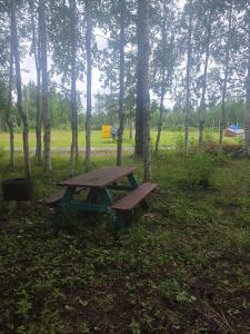 a picnic table in the middle of a park at Houston Grass Station Campsite #42 in Wasilla +13 photos