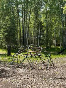 a metal structure sitting in the middle of a forest at Houston Grass Station Campsite #42 in Wasilla