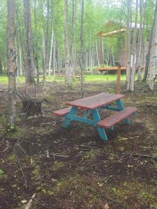 a picnic table in the woods with a picnic shelter at Houston Grass Station Campsite #43 in Wasilla +13 photos