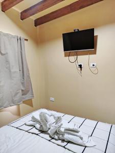 a bedroom with a bed with a tv on the wall at Alojamiento Las Termas in Fiambalá