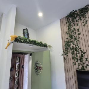 a hallway with a door with a plant on the wall at Appartement Jungle 4 places in Saint-Étienne +4 photos