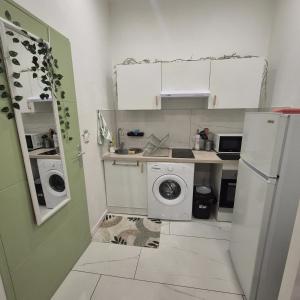 a small kitchen with a washer and dryer at Appartement Jungle 4 places in Saint-Étienne