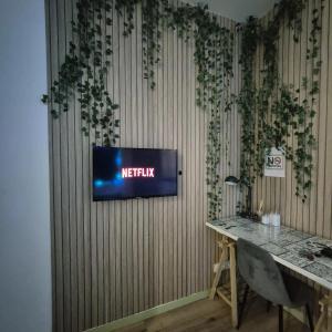 a television on a wall in a room at Appartement Jungle 4 places in Saint-Étienne