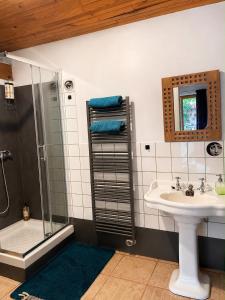 a bathroom with a shower and a sink and a mirror at Dormir Ben Aise Hammam Massages in Maillezais