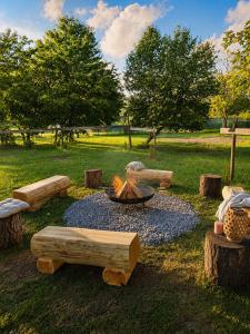 a fire pit in the middle of a park at Glamping Cesty bez kompasu in Horní Jiřetín