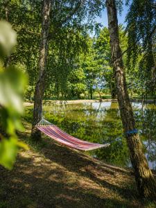 a hammock hanging between two trees next to a lake at Glamping Cesty bez kompasu in Horní Jiřetín +2 photos