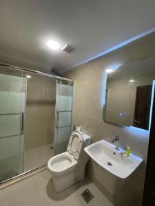 a bathroom with a toilet and a sink and a shower at Zaina Plaza Hotel in Amman +34 photos