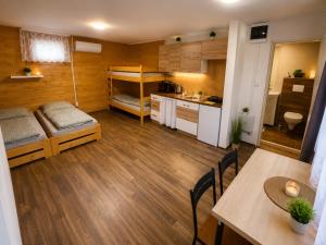 a small room with a kitchen and a bunk bed at Kemp Srdíčko in Doksy