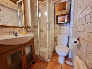 a bathroom with a shower and a toilet and a sink at Apartamento-Estudio in Osséja