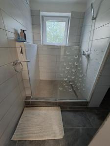 a shower with a glass door in a bathroom at Frix Balaton in Balatonalmádi +16 photos