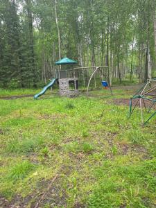 a park with a playground with a slide at Houston Grass Station Campsite #45 in Wasilla +12 photos