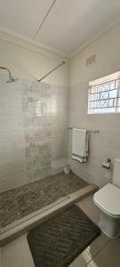 a bathroom with a shower and a toilet at 55 On Paisley in Bulawayo +34 photos