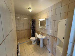 a bathroom with a toilet and a sink at Ekängens vandrarhem in Virserum +8 photos