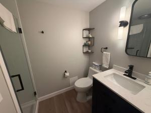 a bathroom with a toilet and a sink and a mirror at South Beach 25 in Glen Arbor