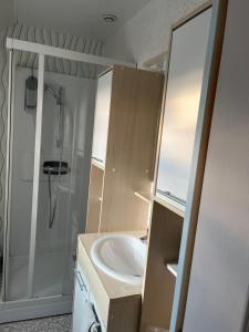 a bathroom with a sink and a shower at Les Prunus Clermont -Créans 2 personnes in Clermont-Créans