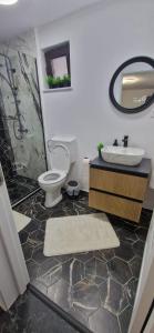 a bathroom with a toilet and a sink and a mirror at Casa MIHNEA in Dălghiu +11 photos