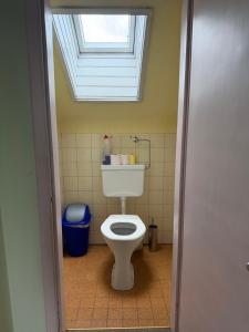 a bathroom with a toilet with a window above it at Villa Alexander in Bad Hofgastein