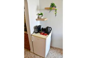 a small refrigerator with a coffee maker on top of it at Sam's Rooms in Vathí