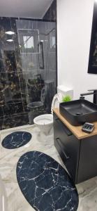 a bathroom with a sink and a toilet and a counter at Casa MIHNEA in Dălghiu
