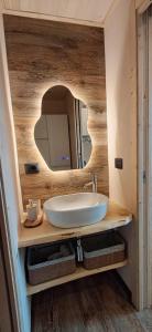 a bathroom with a sink and a mirror at Appartamento Oserot in Bersezio