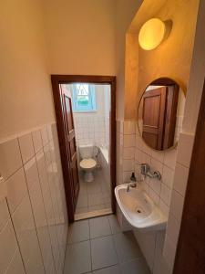 a bathroom with a sink and a toilet and a mirror at V srdci Telče - Apartmán in Telč